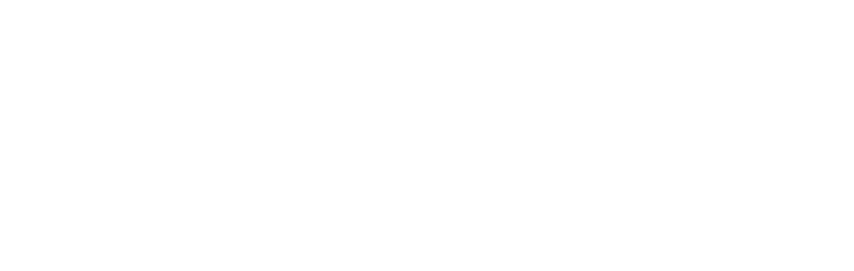 LOGO-DMI
